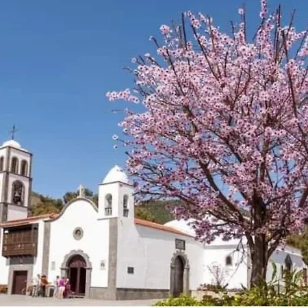 El Arado De Paco * Santiago del Teide