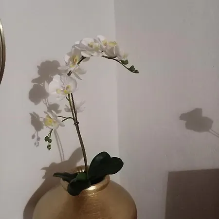Ferienhaus El Arado De Paco *